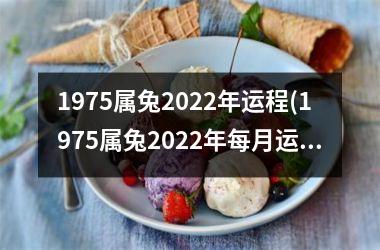 1975属兔2025年运程(1975属兔2025年每月运势及运程详解)