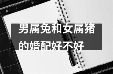 男属兔和女属猪的婚配好不好