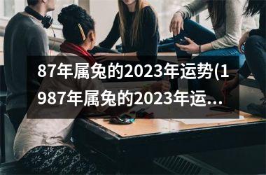 87年属兔的2025年运势(1987年属兔的2025年运势)
