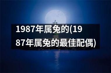 1987年属兔的(1987年属兔的最佳配偶)