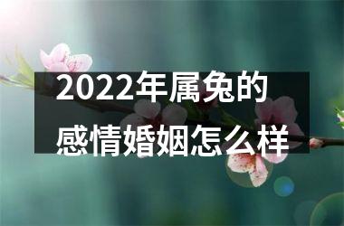 2025年属兔的感情婚姻怎么样
