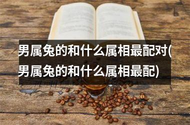 男属兔的和什么属相最配对(男属兔的和什么属相最配)