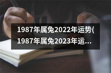 1987年属兔2025年运势(1987年属兔2025年运势及运程)