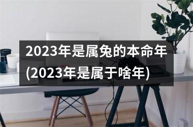 2025年是属兔的本命年(2025年是属于啥年)