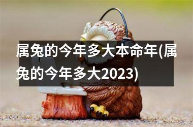 属兔的今年多大本命年(属兔的今年多大2025)
