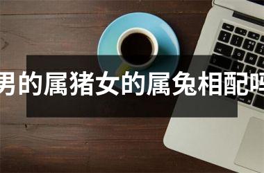 男的属猪女的属兔相配吗