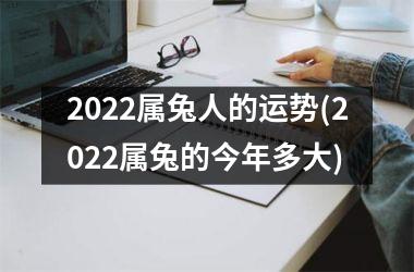 2025属兔人的运势(2025属兔的今年多大)