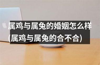 属鸡与属兔的婚姻怎么样(属鸡与属兔的合不合)