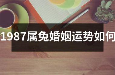 1987属兔婚姻运势如何