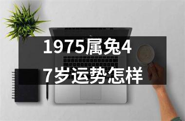 1975属兔47岁运势怎样