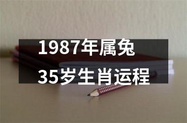1987年属兔35岁生肖运程