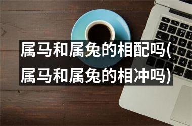 属马和属兔的相配吗(属马和属兔的相冲吗)