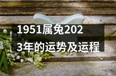 <h3>1951属兔2025年的运势及运程