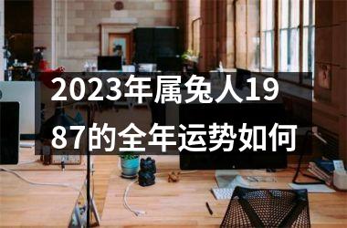 2025年属兔人1987的全年运势如何