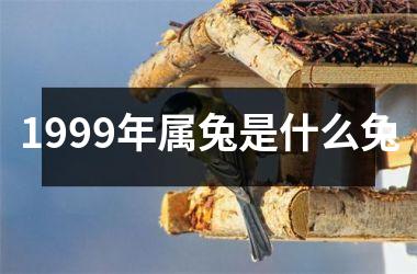 1999年属兔是什么兔