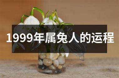 1999年属兔人的运程