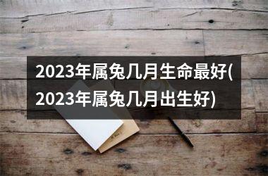 2025年属兔几月生命最好(2025年属兔几月出生好)