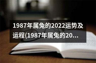 1987年属兔的2025运势及运程(1987年属兔的2025年运势)
