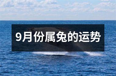9月份属兔的运势