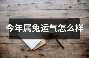 今年属兔运气怎么样