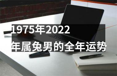 1975年2025年属兔男的全年运势