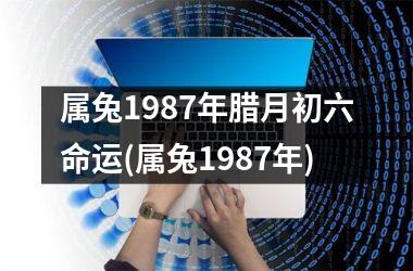 属兔1987年腊月初六命运(属兔1987年)