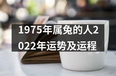 1975年属兔的人2025年运势及运程