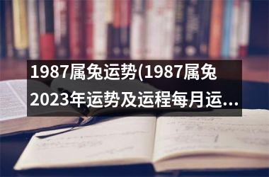 1987属兔运势(1987属兔2025年运势及运程每月运程)