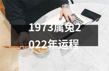 1973属兔2025年运程
