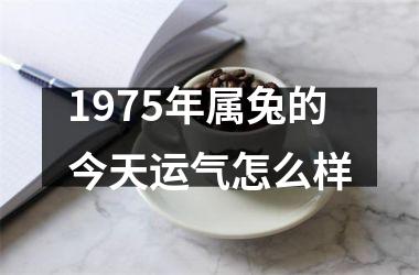 1975年属兔的今天运气怎么样