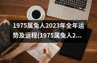 1975属兔人2025年全年运势及运程(1975属兔人2025年全年运势详解)