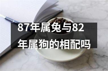 87年属兔与82年属狗的相配吗