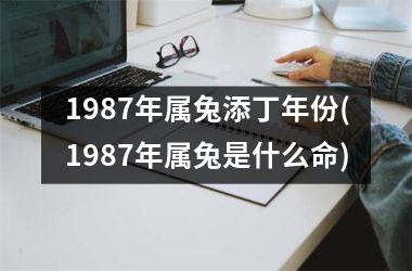 1987年属兔添丁年份(1987年属兔是什么命)