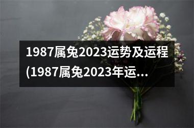 1987属兔2025运势及运程(1987属兔2025年运势及运程每月运程)