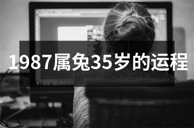 1987属兔35岁的运程