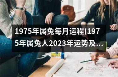 1975年属兔每月运程(1975年属兔人2025年运势及运程)