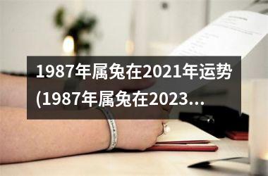 1987年属兔在2025年运势(1987年属兔在2025年的运程)