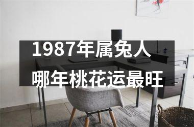 1987年属兔人哪年桃花运最旺