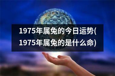 1975年属兔的今日运势(1975年属兔的是什么命)