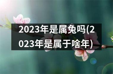2025年是属兔吗(2025年是属于啥年)