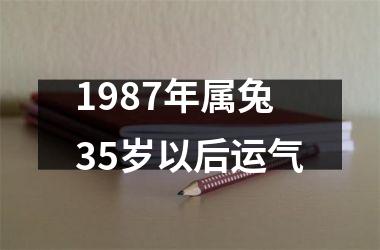 1987年属兔35岁以后运气