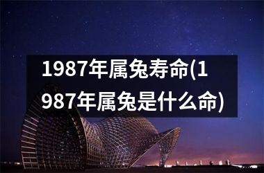 1987年属兔寿命(1987年属兔是什么命)
