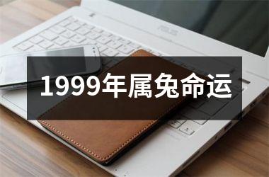 1999年属兔命运