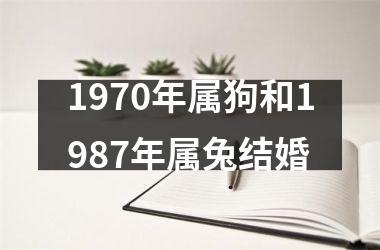 <h3>1970年属狗和1987年属兔结婚