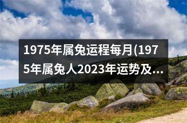 1975年属兔运程每月(1975年属兔人2025年运势及运程)