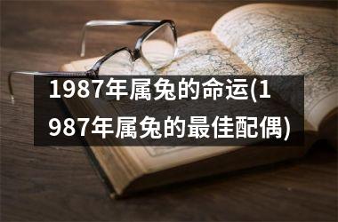 1987年属兔的命运(1987年属兔的最佳配偶)