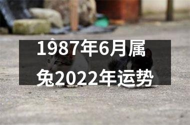 1987年6月属兔2025年运势