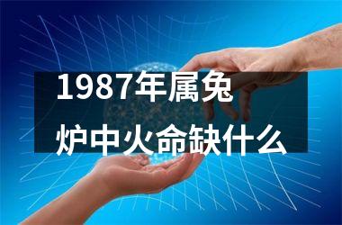 1987年属兔炉中火命缺什么