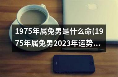 <h3>1975年属兔男是什么命(1975年属兔男2025年运势及运程凶与吉)