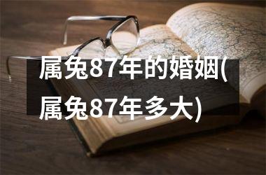 属兔87年的婚姻(属兔87年多大)